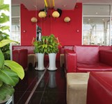 Cafe sách Phương Nam