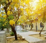 Trường Đại học Nha Trang