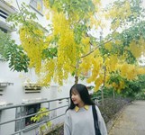 Trường Đại học Nha Trang