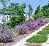 Trường Đại học Nha Trang