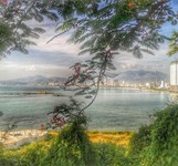 Trường Đại học Nha Trang