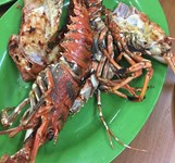 Hải Sản Bãi Dương - Trần Phú