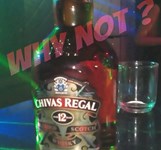 Bar Oxy Nha Trang