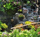 Cafe Hoa Đồng Nội