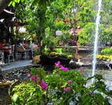 Cafe Hoa Đồng Nội