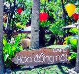 Cafe Hoa Đồng Nội