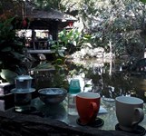 Cafe Hoa Đồng Nội
