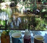 Cafe Hoa Đồng Nội
