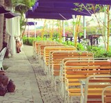 Champa Island Coffee Club