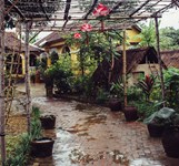 Sen Thiền Quán - Nhà Hàng Chay