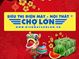 Điện Máy Chợ Lớn Nha Trang