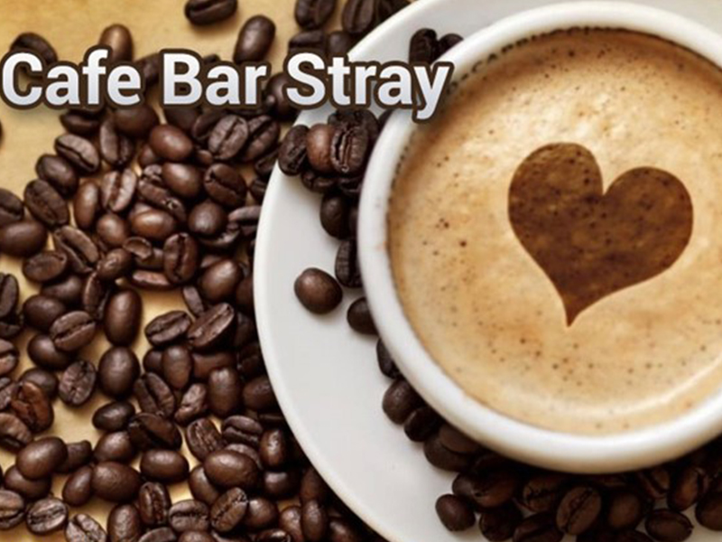download free the stray cafe