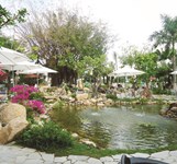 Cafe Bốn Mùa Đam Mê