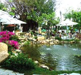 Cafe Bốn Mùa Đam Mê