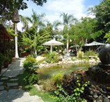 Cafe Bốn Mùa Đam Mê