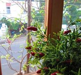 Cafe Eighteen (Eighteen House Coffee)