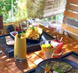 Rainforest Nha Trang