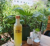 Rainforest Nha Trang