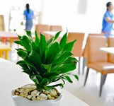 Nhà sách Phương Nam Nha Trang