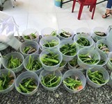 Bún Chả - Bún Nem Hà Nội