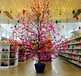 Nhà sách Tân Tiến Nha Trang