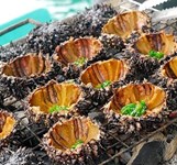 Ốc Mỹ Lương Sơn Vĩnh Luơng