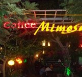 Cafe Mimosa