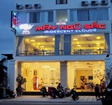 Mây Ngũ Sắc Nha Trang