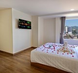 Mây Ngũ Sắc Nha Trang