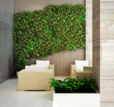 Khách sạn Stella Maris Nha Trang