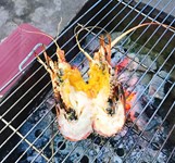 Phố Ốc Nguyễn Công Trứ