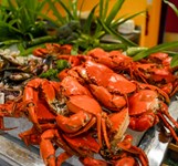 The Square - Novotel