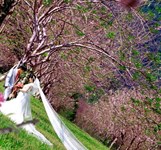 Vuông Tròn Studio Nha Trang