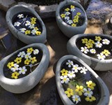 Eggsential Spa Khu Du Lịch Trăm Trứng Nha Trang