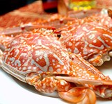 Hoàng Sa - Hải Sản Tươi Sống