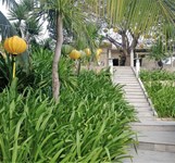 Xanh Spa Mia Resort Cam Lâm Khánh Hòa