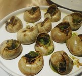 Le Petit Bistro - Món Pháp Tại Nha Trang