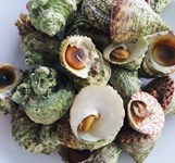 Hải Sản Khang Hỷ Nha Trang