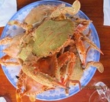 Nhà Bè Hồng Nhàn Cam Ranh