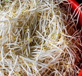 Quán Bún Cô Lành Cam Ranh