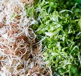 Quán Bún Cô Lành Cam Ranh