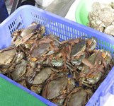 Nhà Hàng Biển Rừng Diên Khánh