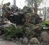 Nhà Hàng Biển Rừng Diên Khánh