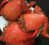 Quán Ăn Mỹ Trâm Hải Sản Bình Ba