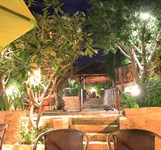 Dream Hills Coffee Cam Ranh