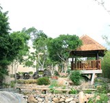 Dream Hills Coffee Cam Ranh