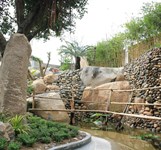 Dream Hills Coffee Cam Ranh