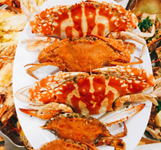 Làng Biển Homestay