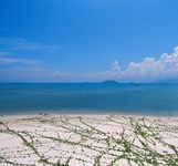Khám Phá Đầm Môn Tại Nha Trang