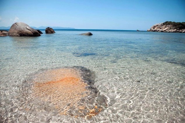 Khám Phá Đầm Môn Tại Nha Trang